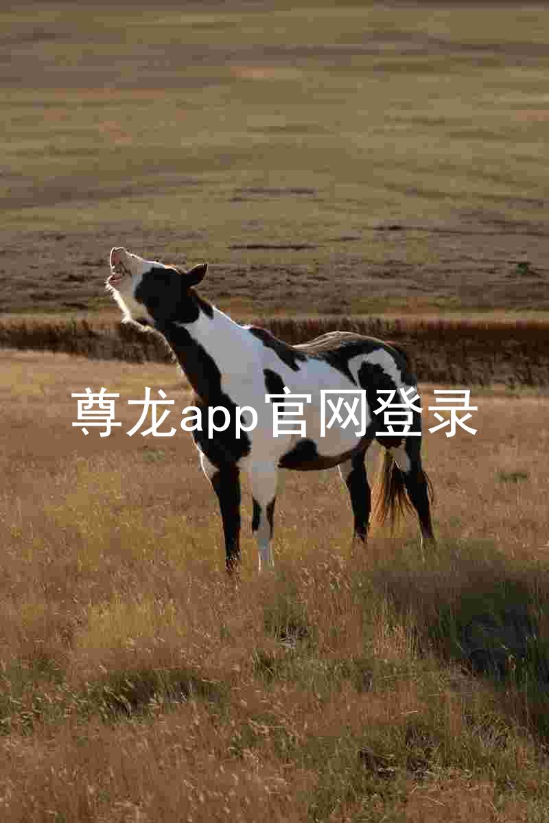 尊龙app官网登录