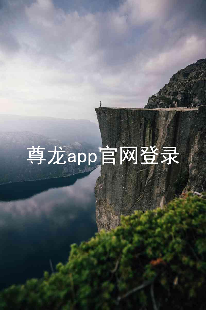 尊龙app官网登录