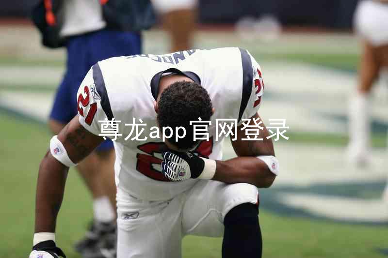 尊龙app官网登录